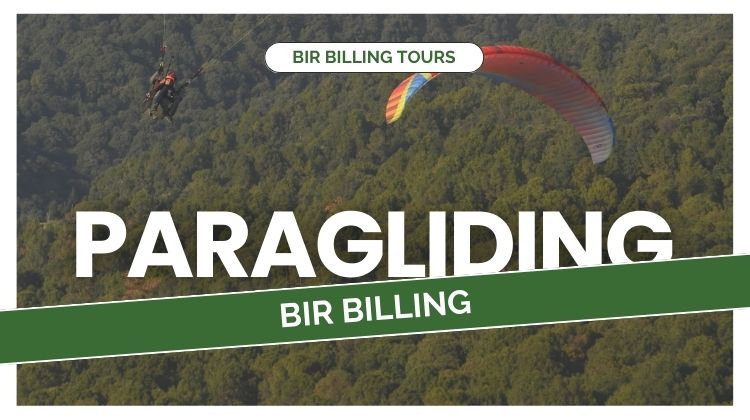 Paragliding In Bir Billing
